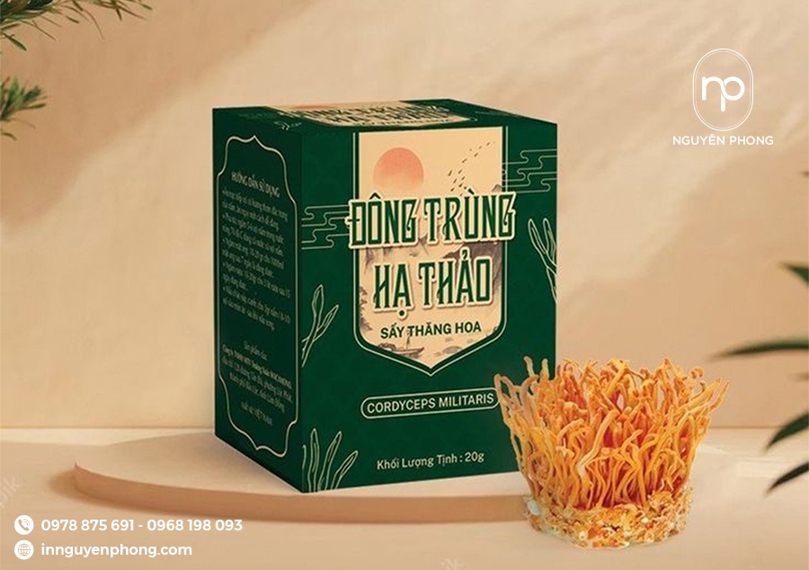 In Ấn Tem Đông Trùng Hạ Thảo Chuyên Nghiệp